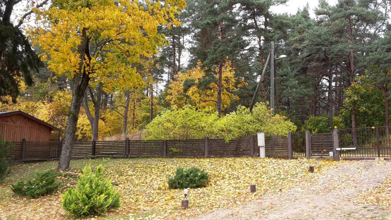ריגה Forest Edge Lodge מראה חיצוני תמונה